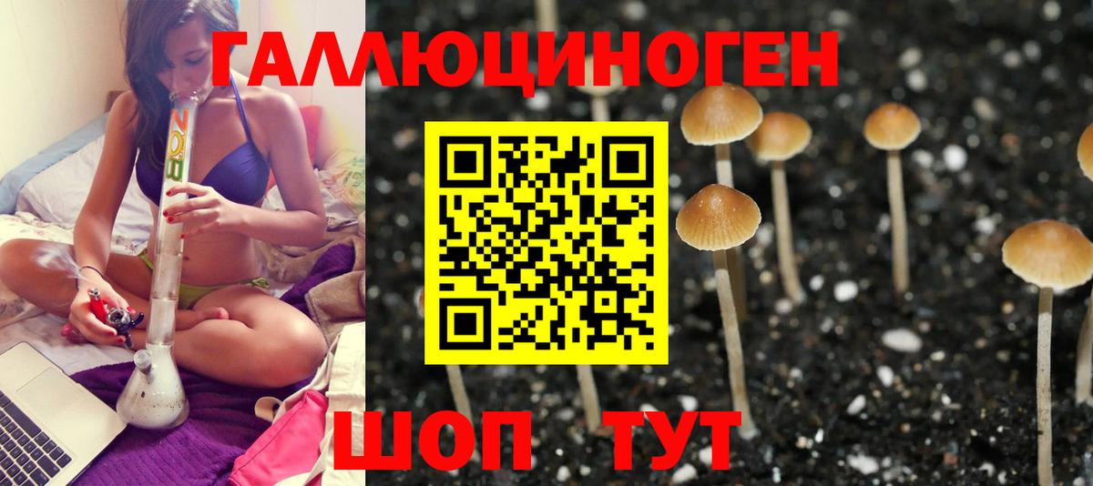 Псилоцибиновые грибы мицелий Краснокаменск