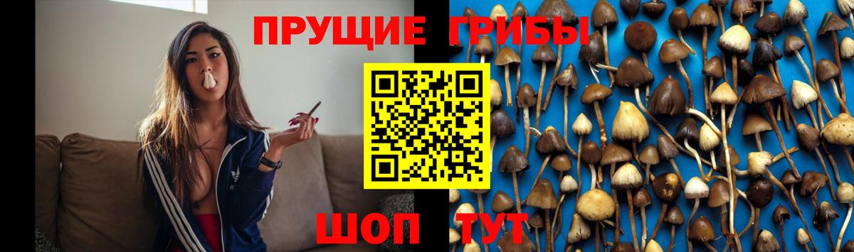 Краснокаменск  Галлюциногенные грибы мицелий  купить закладку  Вход с VPN 